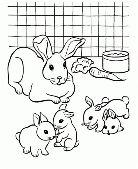 Get This Easy Printable Rabbit Coloring Pages For Children