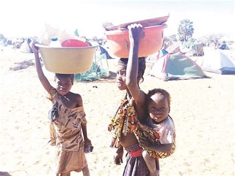 Fome Ameaça Milhares De Crianças Angolanas Na Namíbia Ajuda Alimentar Enviada Para O País