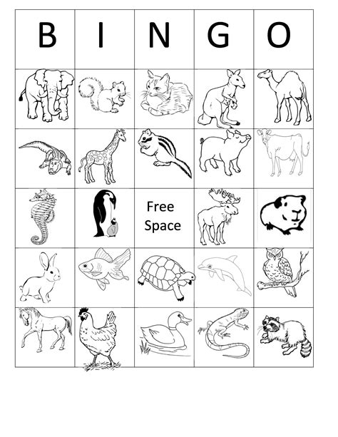 Printable Animal Bingo Card 5 Black And White Coloring Sheet Birthday
