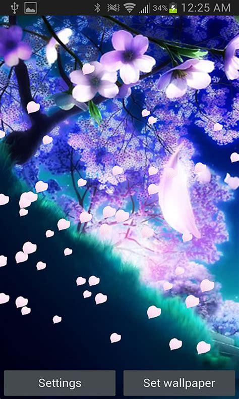 Sakura Blossom Live Wallpaper Free Android Live Wallpaper Download