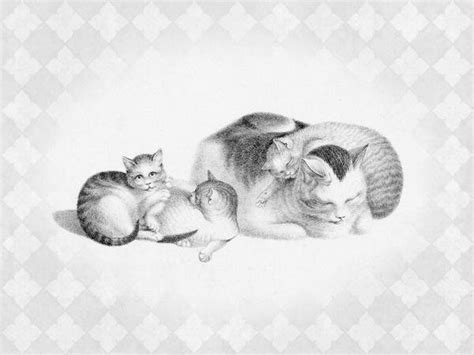Gottfried Mind Mother Cat Napping With Kittens Art Print Global