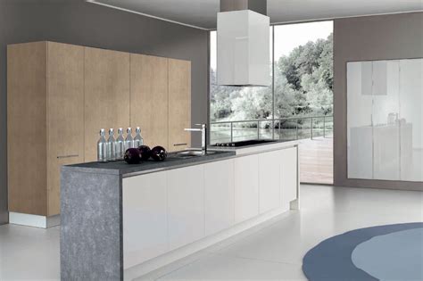 Modern Kitchen Cabinets European Cabinets And Design Studios