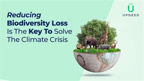Reducing Biodiversity Loss Is The Key To Solve The Climate Crisis Updeed