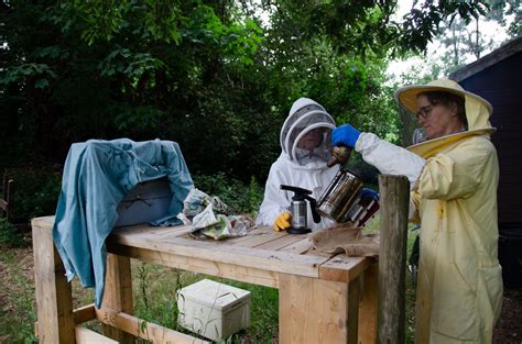 The Teaching Apiary Isle Of Wight Beekeepers Association