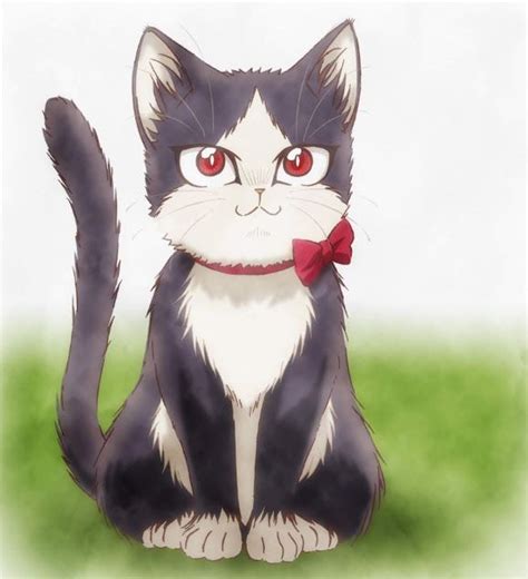 My Roommate Is A Cat Ending Haru Anime Anime Masculino Arte De
