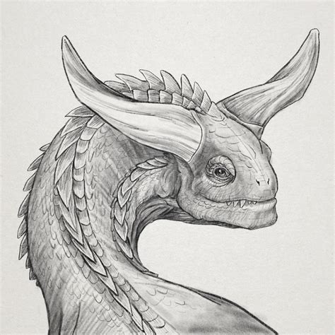 A Pencil Drawing Of A Dragon Head