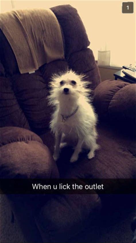 the funniest snapchat moments you ll see all day 36 pics