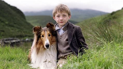Lassie 2005 — The Movie Database Tmdb