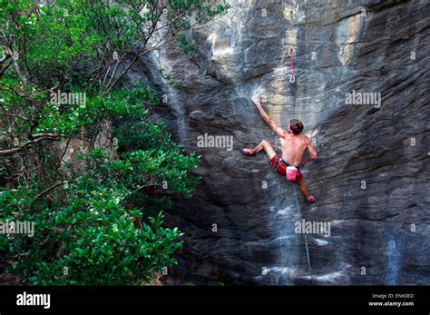 A Climber Scaling Limestone Cliffs In The Jungle At Serra Do Cipo