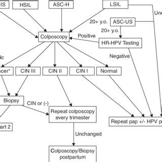 Management Of Abnormal Cervical Vaginal Pap Smears The Best Porn Website