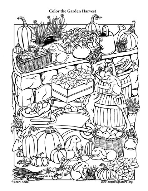 Harvest Coloring Pages For Adults