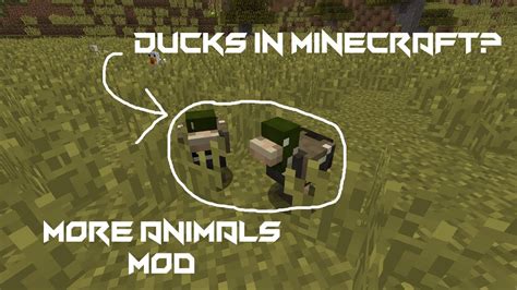 Add materials sign up sign in. DUCKS IN MINECRAFT?! - Minecraft More Animals mod - YouTube