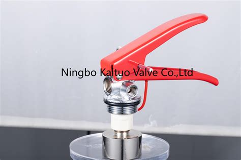 Fire Extinguisher Valve E China Fire Extinguisher Valve And Dry