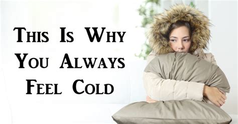 6 Reasons Why You Always Feel Cold David Avocado Wolfe