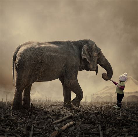 Elephant And Little Girl By Caras ıonut Art Two