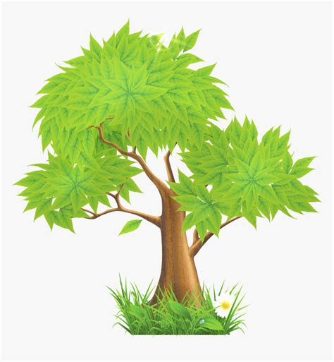 Eucalyptus Clipart Forest Tree Png Download Trees Clip Art Png