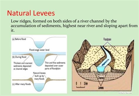 Fluvial Depositional Landform Geomorphology