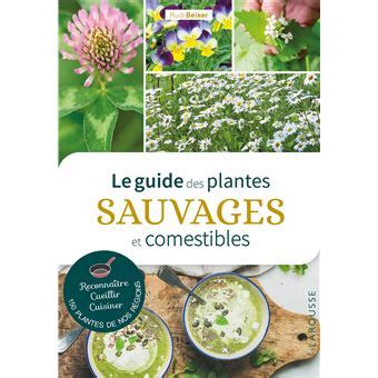 Le Guide Des Plantes Sauvages Et Comestibles Plantes Faciles