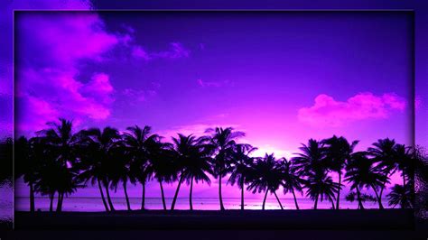 Sunset Palm Trees Wallpaper Images