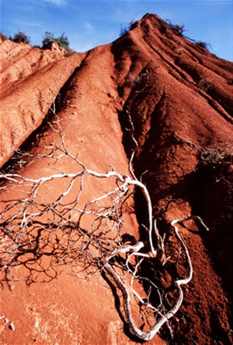 How To Mount Multiple Monitors On Wall - Best dual monitor stands of 2022