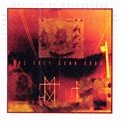 The Joy of Molybdenum by The Trey Gunn Band (Album, Progressive Rock ...