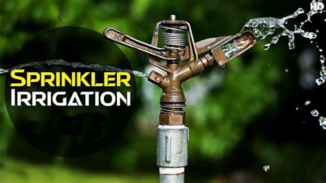 Sprinkler Irrigation System How Does It Works Discover