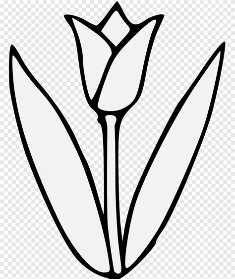 Beginilah Gambar Bunga Tulip Untuk Mewarnai Terpopuler Informasi