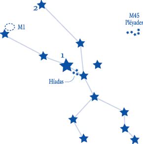 Apr 22, 2018 · las constelaciones para niños. cientec : constelaciones zodiacales