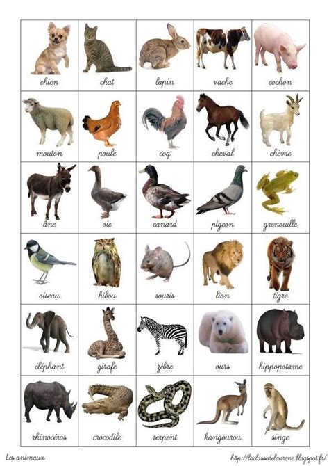 Les Animaux Poster French Language Lessons French Language Learning