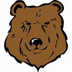 Bear Brown Head Drawing Clip Svg Icon