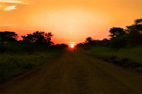 Walking At Sunset Photograph By Jadwiga Figula Fine Art America