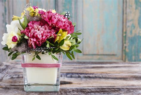 January Birth Flower The Carnation Flower Ting Ideas By