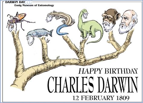 Reasons To Celebrate Darwin Day Paleontology World
