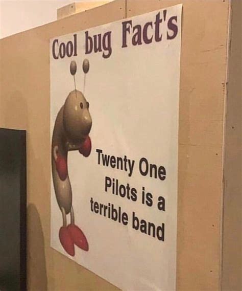 Cool Bug Facts Rmeme