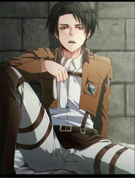 The World I Live In Levi X Reader Chapter 6 Wattpad