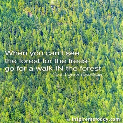 See Through Forest Trees Quotes Quotesgram