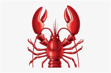 Top 64 Lobster Wallpaper Super Hot Incdgdbentre