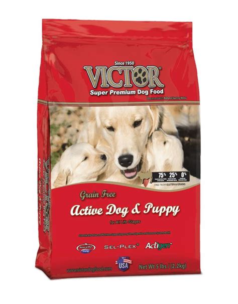 Victor Dog Food Active Dog And Puppy Houses And Apartments For Rent