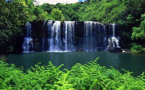 70 Forest Waterfall Wallpaper On Wallpapersafari 031