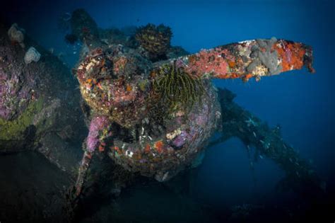 Liquid Diving Adventures Wreck Dives Of Chuuk Truk Lagoon