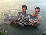 Large fish in the Mekong River. - Inspiring Mekong Story
