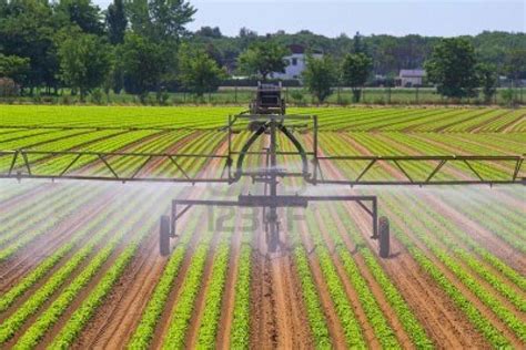 Fungsi Ilmu Biologi Dalam Bidang Pertanian Dan Industri Tips Petani