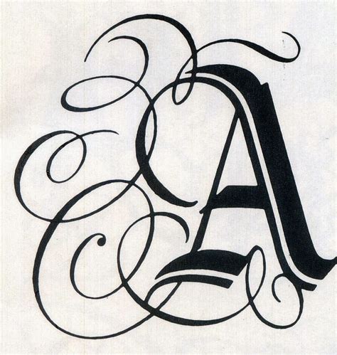 Caligrafía Mónica Arcila R Básica Artística Creativa Calligraphy For