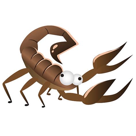 Scorpians Cartoons Illustrations Royalty Free Vector Graphics And Clip