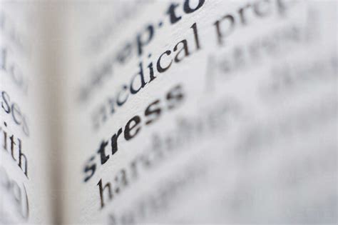 Dictionary Page With Stress Definition Close Up Stock Photo