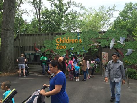 Bronx Zoo Childrens Zoo Reopens Video The Mama Maven Blog