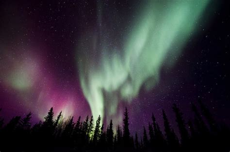 Beautiful Boreal Aurora Colorful Colors Nature Image 119977 On