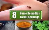Bed Bug Control Home Remedy Images