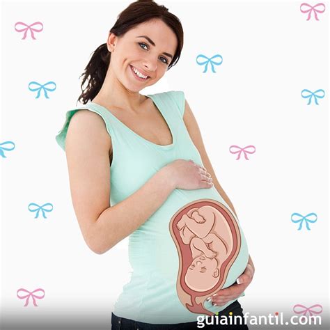 Lista 93 Imagen De Fondo Cómo Saber Si Estoy Embarazada Tocando Mi