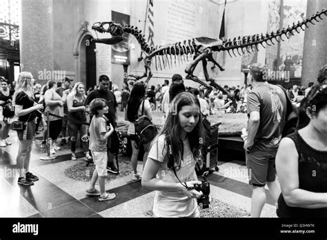 81 Street Museum Of Natural History New York City Ny Usa Filming